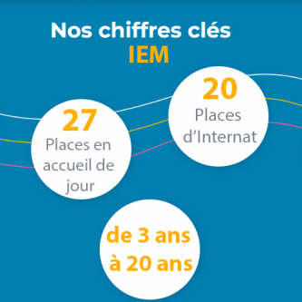 chiffres clé IEM