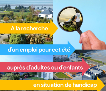 Quel est votre programme pour cet été ?